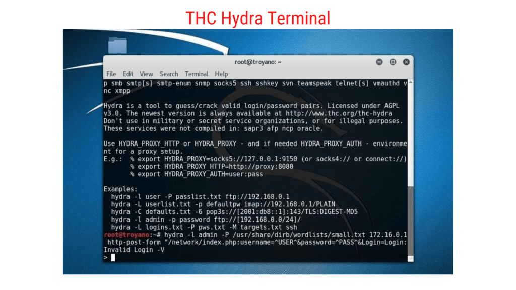 THC hydra terminals and interface looks something like this