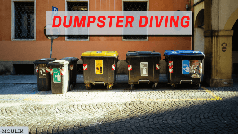 dumpster diving what is