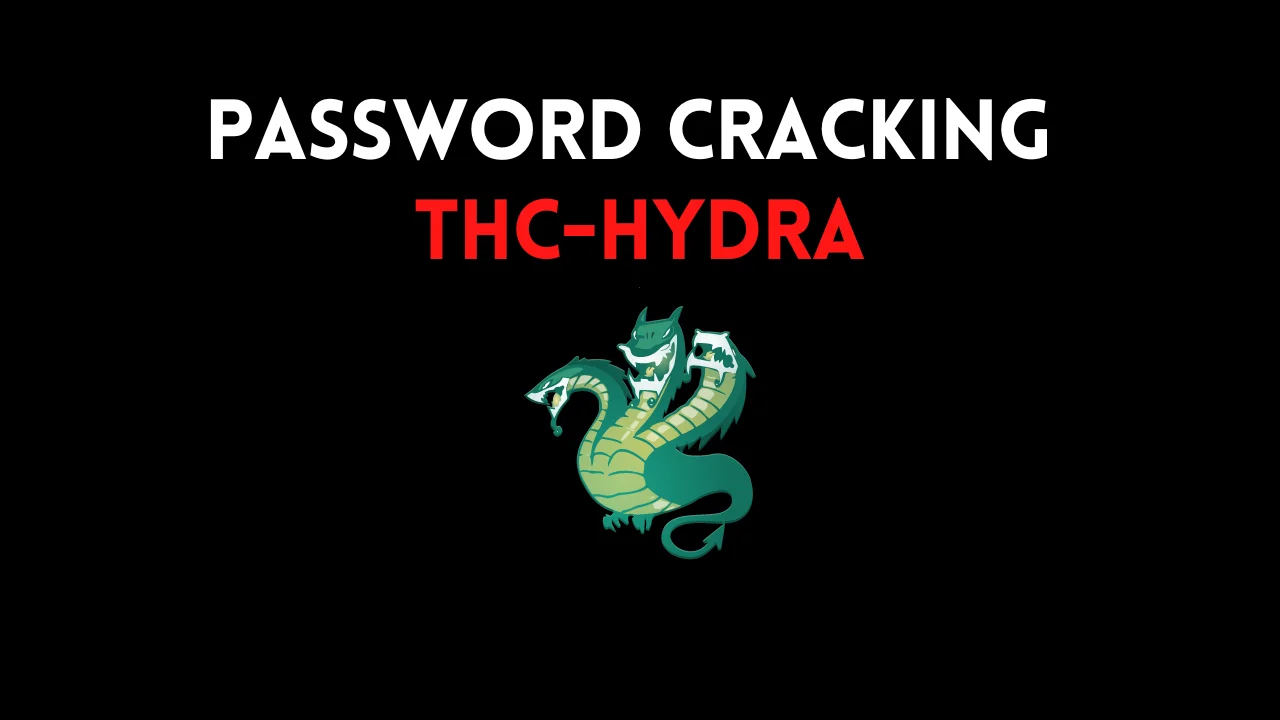 How to use the Hydra password-cracking tool