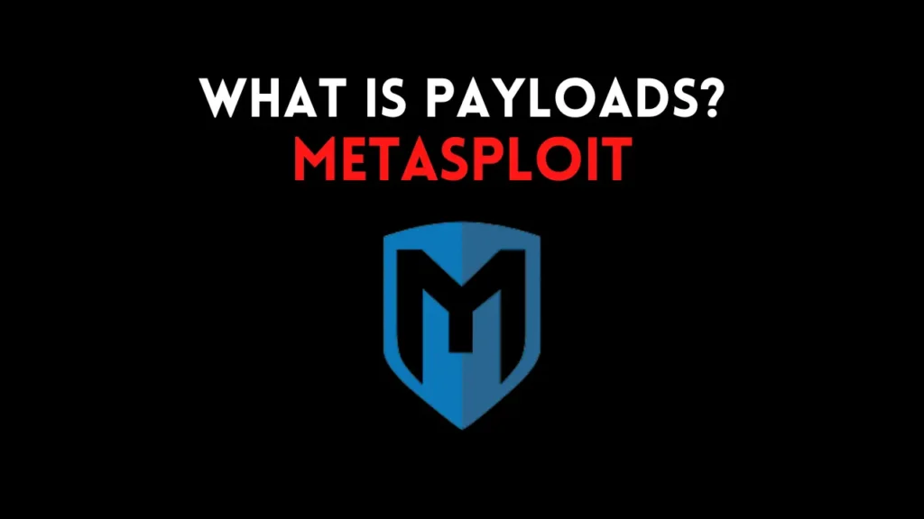 what is payload