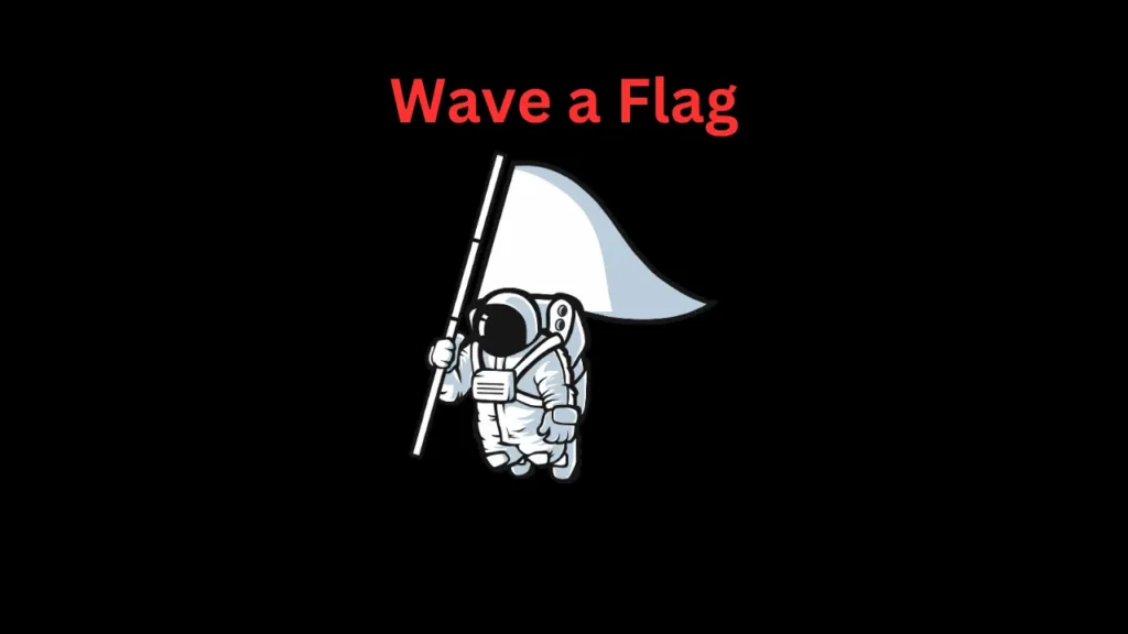Wave a Flag picoCTF