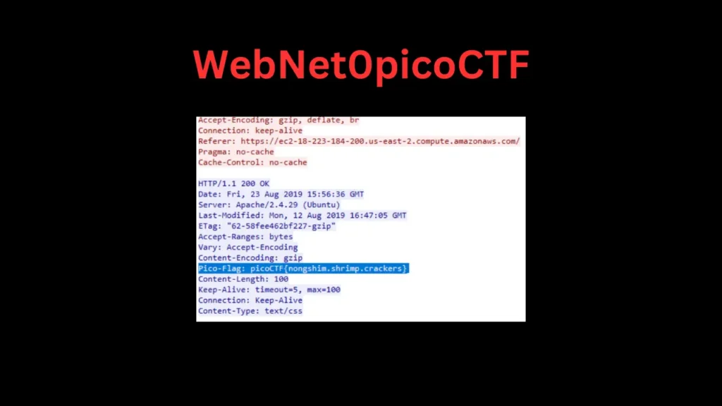 WebNet0picoCTF