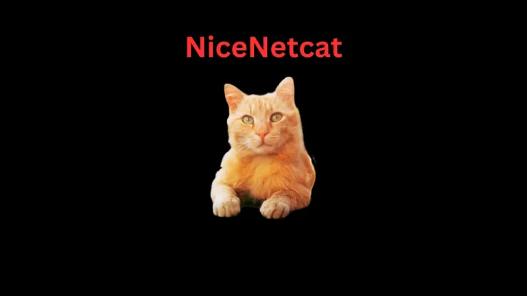 nicenetcat picoCTF